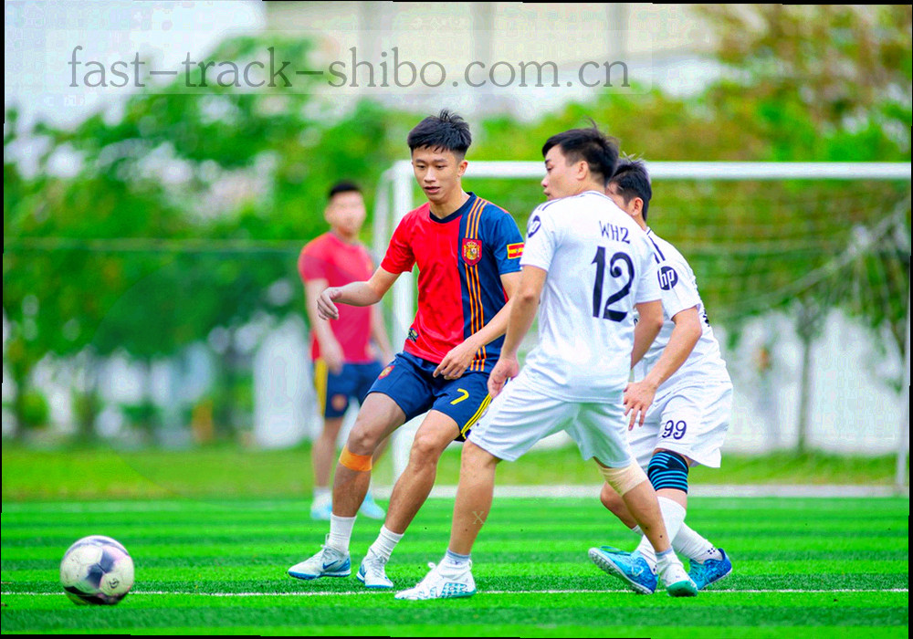 一条主线向右侧分叉成三条曲线路径的抽象示意图，曲线以霓虹青与暖金渐变绘制，背景为层叠的深墨绿山脊